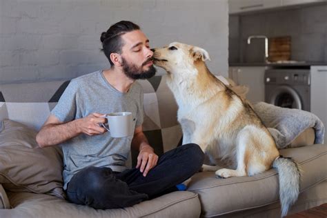 仕事 急にミスが増えた 20代 ～なぜか突然、猫が喋り始めた～